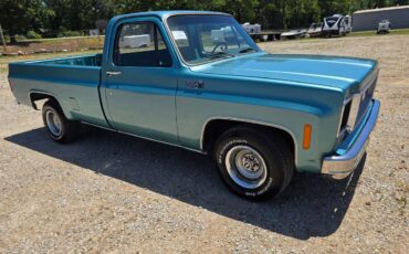 Chevrolet-custom-deluxe-10-1977