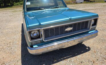 Chevrolet-custom-deluxe-10-1977-4
