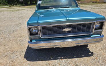 Chevrolet-custom-deluxe-10-1977-5
