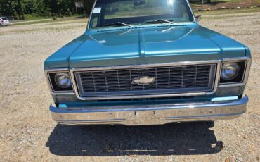Chevrolet-custom-deluxe-10-1977-6