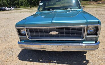 Chevrolet-custom-deluxe-10-1977-7