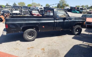 Chevrolet-custom-deluxe-10-1979-black-1