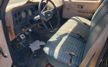 Chevrolet-custom-deluxe-10-1979-black-2