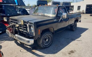 Chevrolet-custom-deluxe-10-1979-black