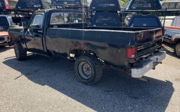 Chevrolet-custom-deluxe-10-1979-black-4