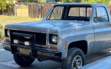 Chevrolet-custom-deluxe-k20-1973-grey-3
