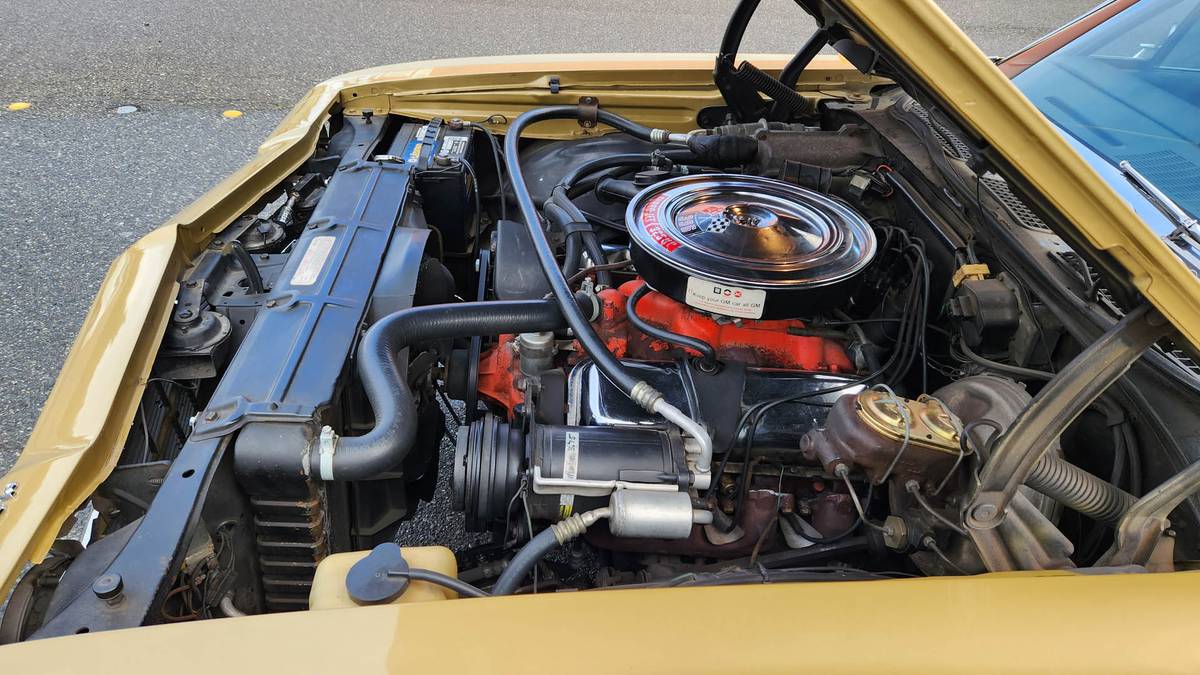 Chevrolet-el-camino-1969-16