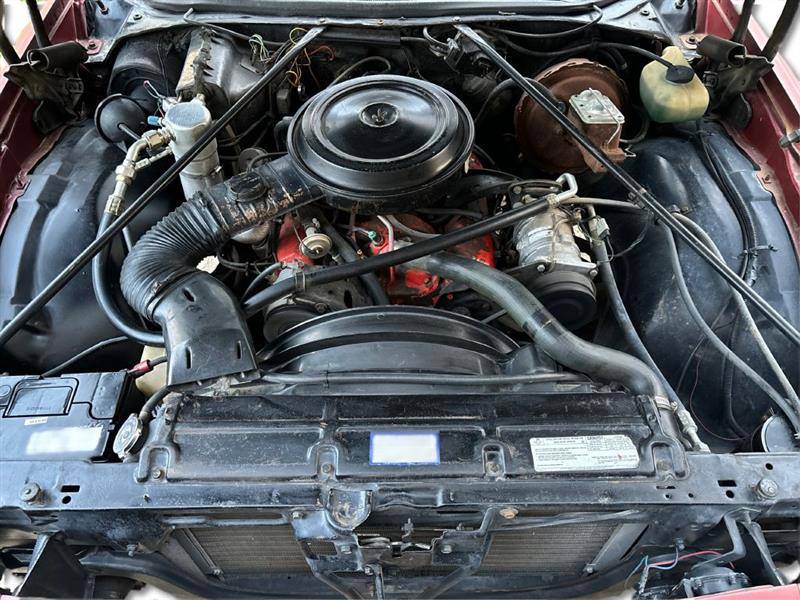 Chevrolet-el-camino-1976-custom-15