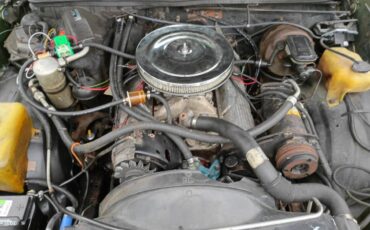 Chevrolet-el-camino-1979-grey-5
