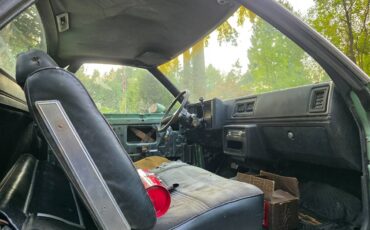 Chevrolet-el-camino-1980-13
