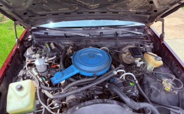 Chevrolet-el-camino-1982-custom-16