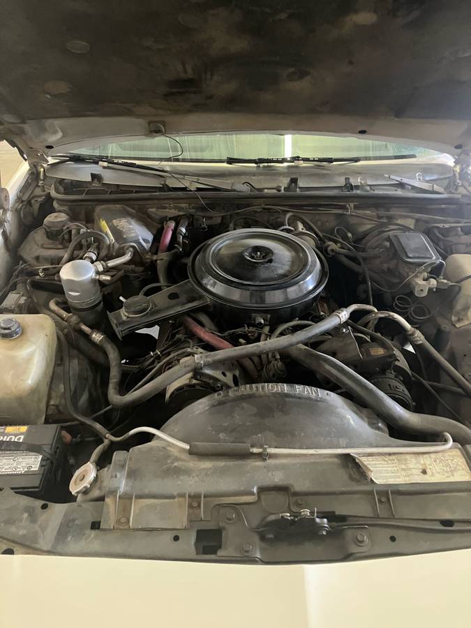 Chevrolet-el-camino-1984-5
