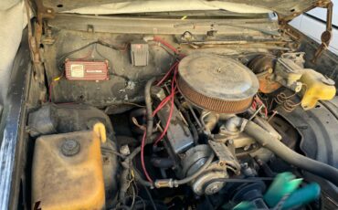Chevrolet-el-camino-as-1978-blue-10
