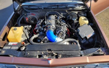 Chevrolet-el-camino-elcamino-classic-hot-rod-chevr-1983-brown-14