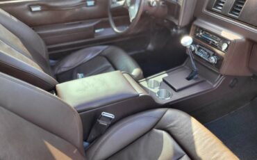 Chevrolet-el-camino-elcamino-classic-hot-rod-chevr-1983-brown-5