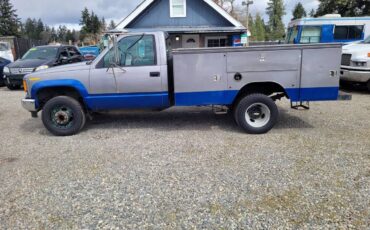 Chevrolet-gmt-400-1-ton-nominal-1994-blue-7