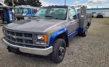 Chevrolet-gmt-400-1-ton-nominal-1994-blue-8