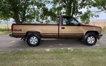 Chevrolet-gmt-400-12-ton-nominal-1989-brown-2