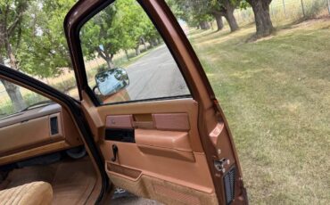 Chevrolet-gmt-400-12-ton-nominal-1989-brown-7