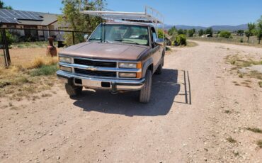 Chevrolet-gmt-400-34-ton-nominalchvy-diesel-1994-brown-2