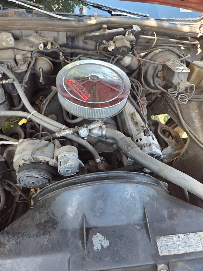 Chevrolet-impala-1979-2