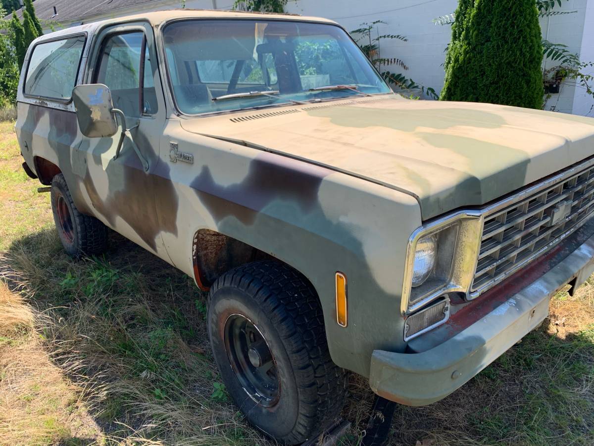 Chevrolet-k-5-1976-2