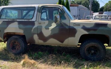 Chevrolet-k-5-1976-3