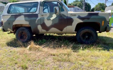 Chevrolet-k-5-1976-4