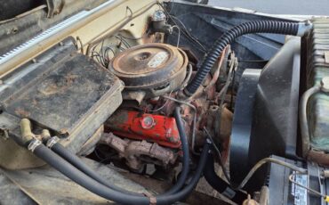Chevrolet-k10-1966-9