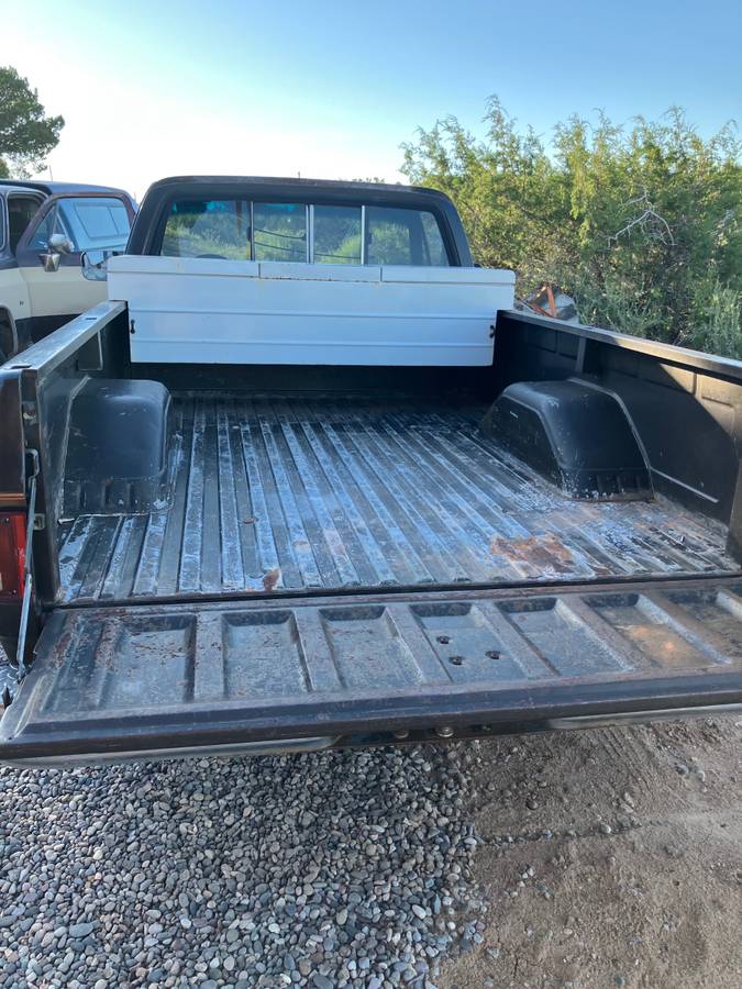 Chevrolet-k10-1982-1