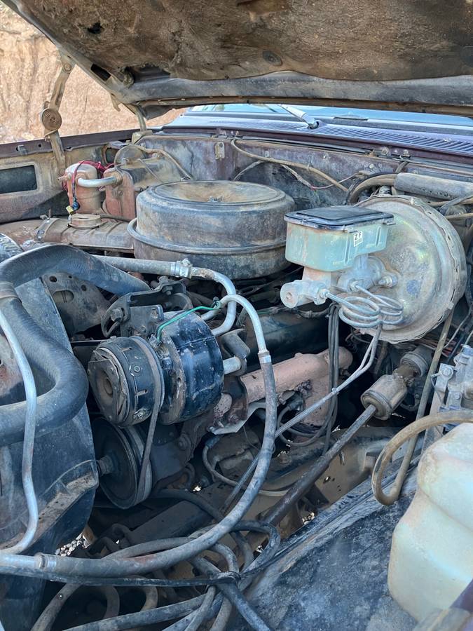 Chevrolet-k10-1982-3