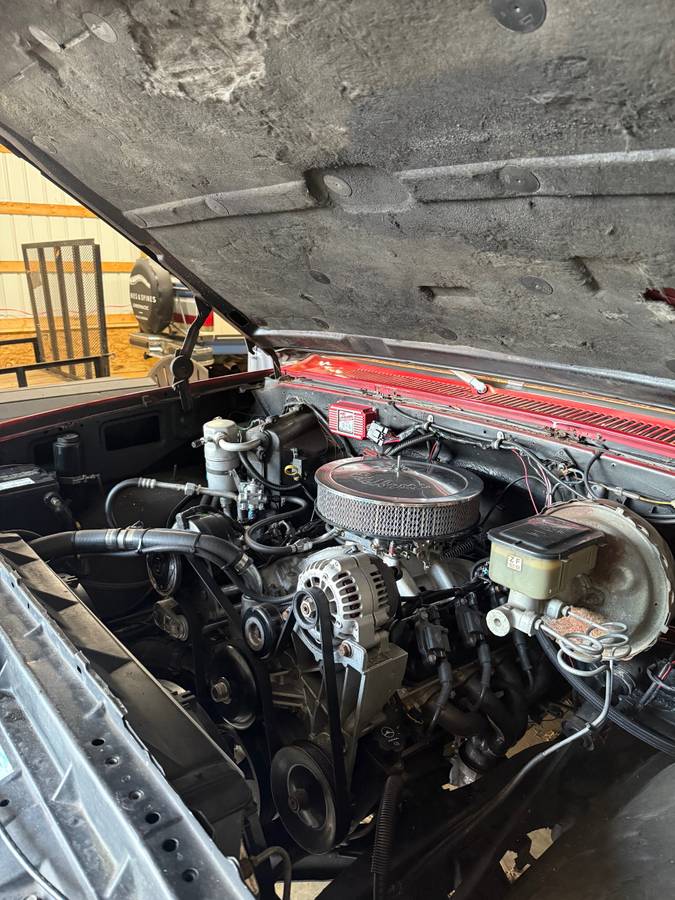 Chevrolet-k10-1983-3