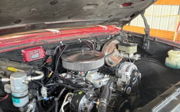 Chevrolet-k10-1983-6