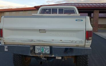 Chevrolet-k10-silverado-4x4-1981-white-10