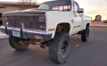 Chevrolet-k10-silverado-4x4-1981-white-11