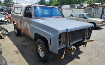 Chevrolet-k20-1980-grey-6