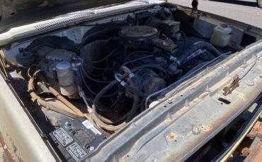 Chevrolet-k20-1981-brown-6