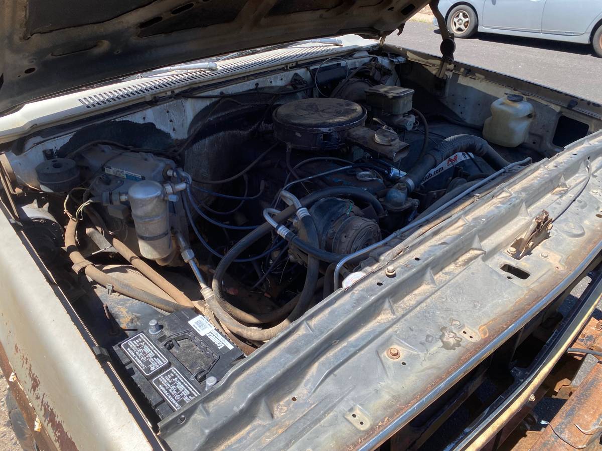 Chevrolet-k20-1981-brown-6