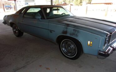 Chevrolet-malibu-classic-1975-blue-2