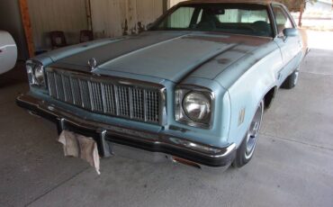 Chevrolet-malibu-classic-1975-blue