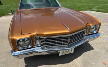 Chevrolet-monte-carlo-1972-18
