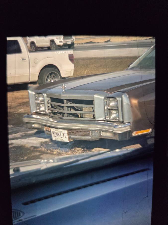 Chevrolet-monte-carlo-1977-brown-2
