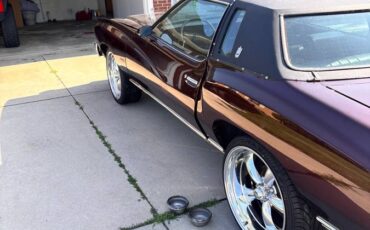 Chevrolet-monte-carlo-1977-purple-2