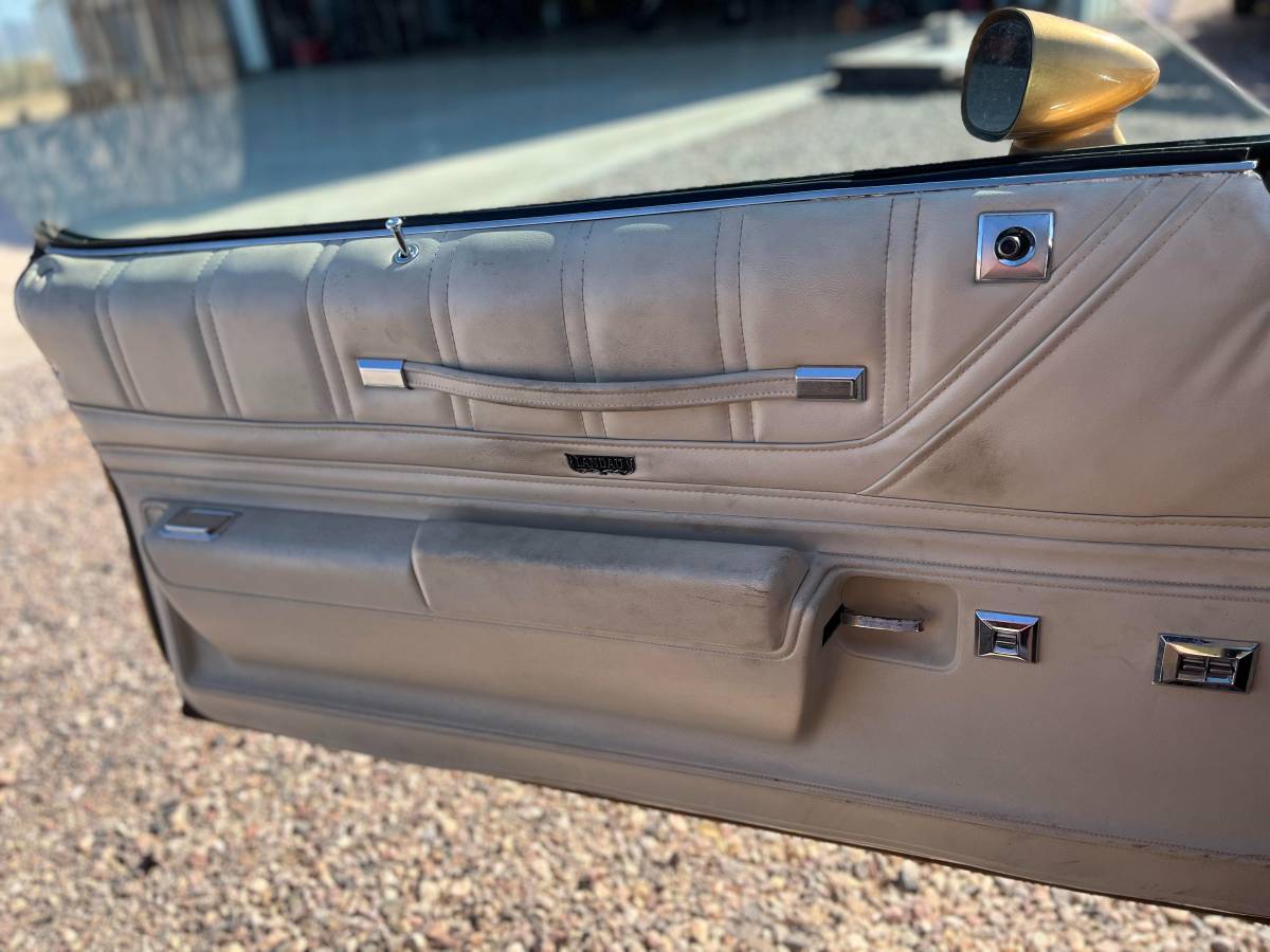 Chevrolet-monte-carlo-landau-1973-brown-15