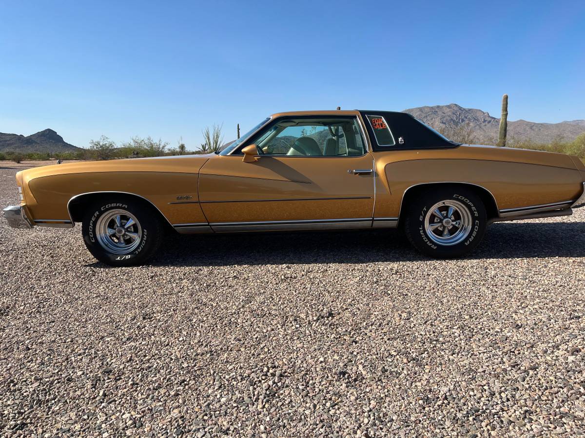 Chevrolet-monte-carlo-landau-1973-brown-8