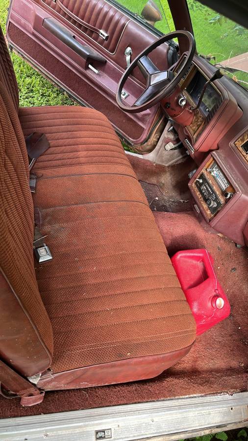 Chevrolet-monte-carlo-ls-1982-brown-1