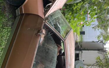 Chevrolet-monte-carlo-ls-1982-brown-3