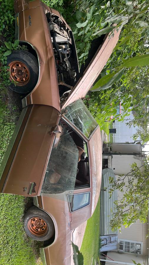 Chevrolet-monte-carlo-ls-1982-brown-3