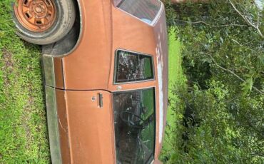 Chevrolet-monte-carlo-ls-1982-brown