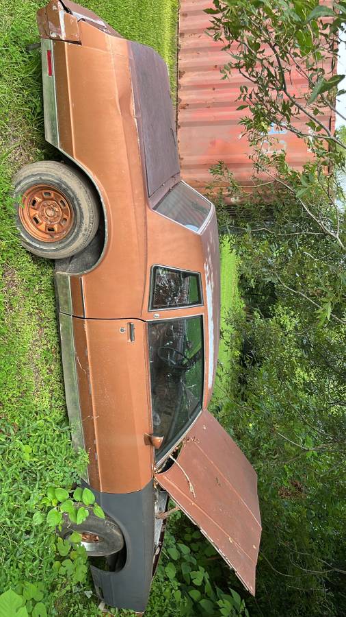 Chevrolet-monte-carlo-ls-1982-brown